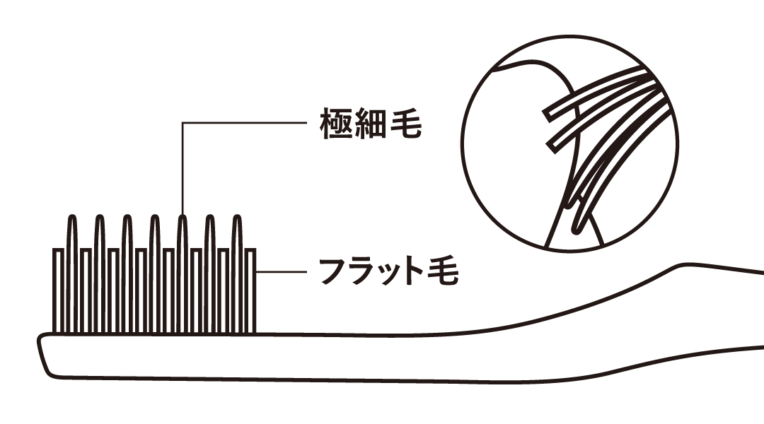極細毛とフラット毛のツイン植毛の構造図