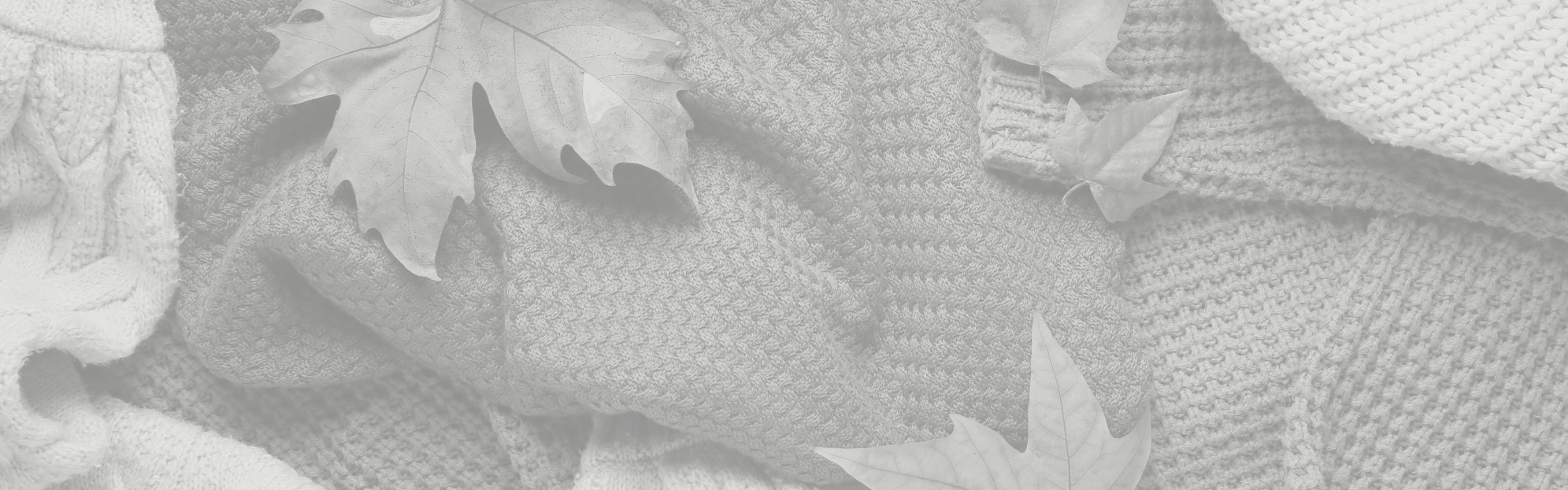 メインテキスト