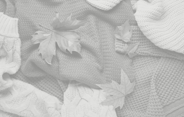 メインテキスト