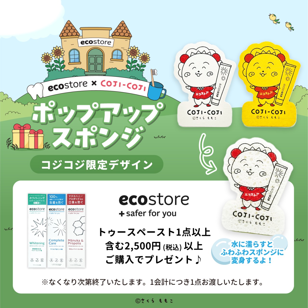 ポップアップスポンジ コジコジ限定デザイン