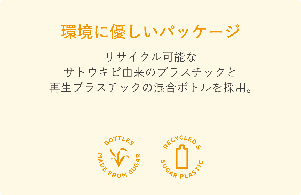 \期間限定/新年を気持ちよく迎えよう♪ 大そうじにおすすめのクリーナーが20%OFF!