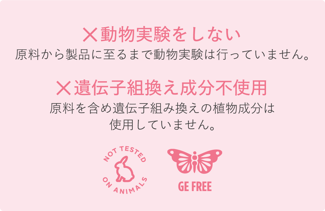 \期間限定/新年を気持ちよく迎えよう♪ 大そうじにおすすめのクリーナーが20%OFF!